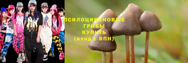 стаф Балабаново