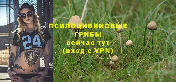 тгк Балахна